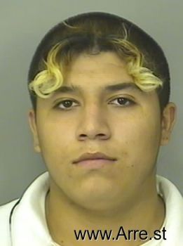 Michael Fabian Rosales Mugshot