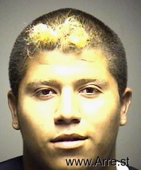 Michael Fabian Rosales Mugshot