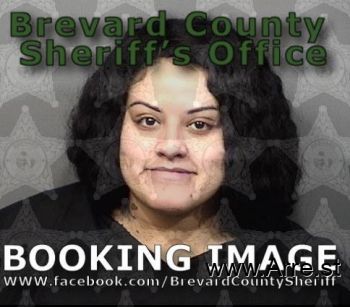 Michaelle Rose Ortiz Mugshot