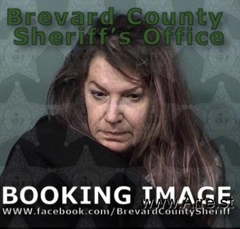 Michele Christine Davis Mugshot