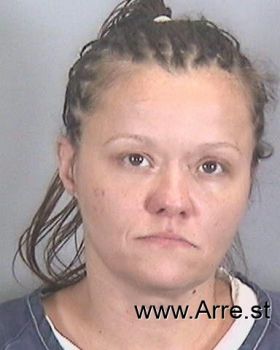 Michelle N Ayers Mugshot