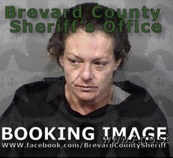 Michelle Ray Baird Mugshot