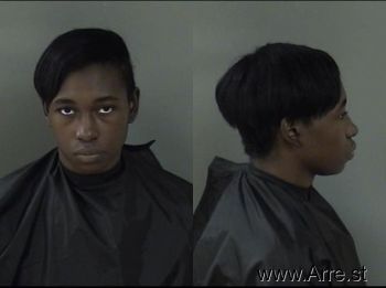 Michelle Lynn Brown Mugshot