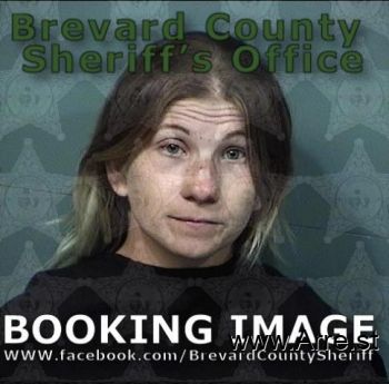 Michelle Lynn Groskey Mugshot