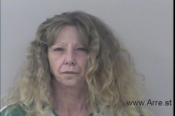 Michelle Lynn Johnson Mugshot