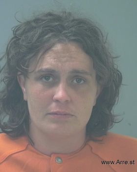 Michelle Lynn Johnson Mugshot