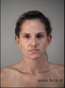 Michelle Lee Risner Mugshot