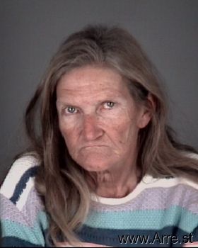 Michelle Lee Schmidt Mugshot