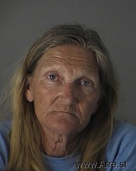 Michelle Lee Schmidt Mugshot