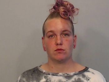 Michelle Lynne Sheeler Mugshot