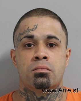 Miguel Angel Ruiz Borges Mugshot