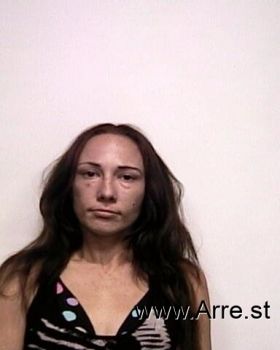 Misty Lee Fields Mugshot