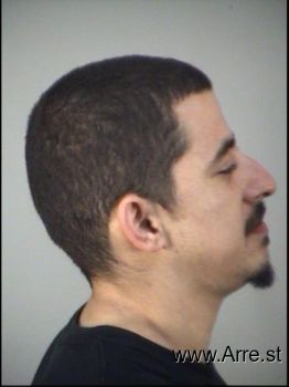 Mohamed Asam Hassanin Mugshot