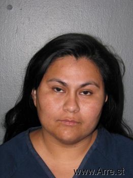 Monica Marie Castillo Mugshot