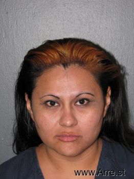 Monica Marie Castillo Mugshot