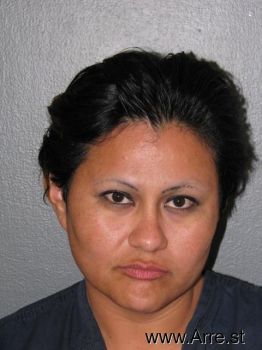 Monica Marie Castillo Mugshot