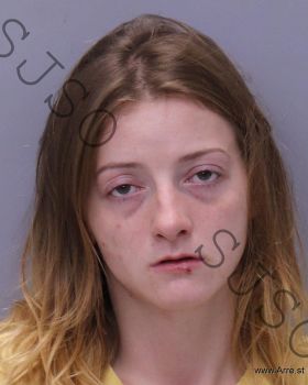 Morgan Hailey Treml Mugshot