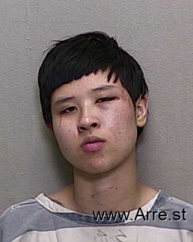 Linda Kim Nguyen Mugshot