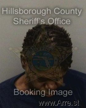 Nikki Shondell Johnson Mugshot