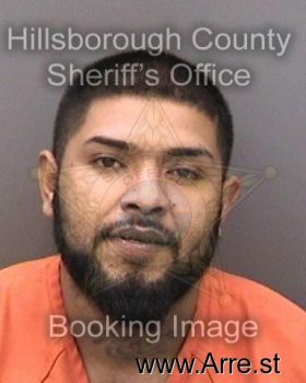 Noe  Hernandez Jr Mugshot