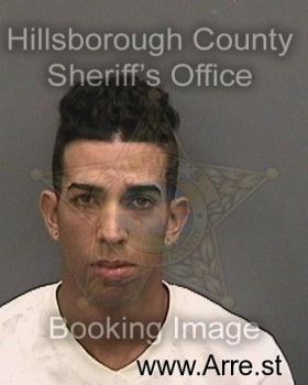 Noel  Mejiasdominquez Mugshot