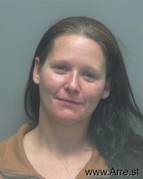 Nancy Lee Wilson Mugshot