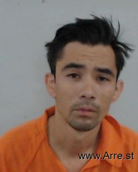 Nathaniel Michelle Andrade Mugshot