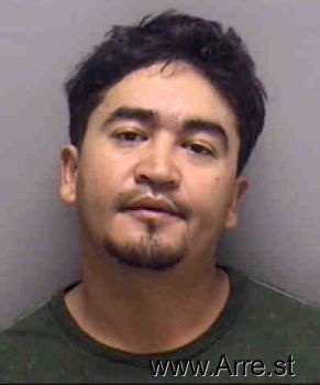 Nelson Fernando Hernandez Mugshot