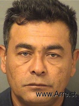 Nelson Sigfredo Hernandezmena Mugshot