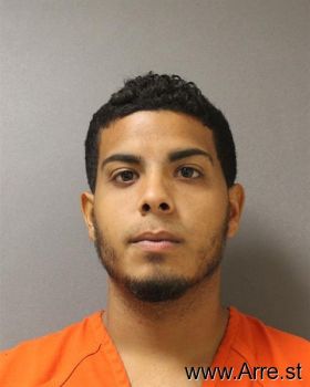 Nelson  Rivera Mugshot