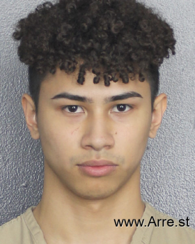 Nicholas Lino Orrego Ganzon Mugshot