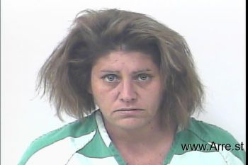 Nicole Lee Morin Mugshot