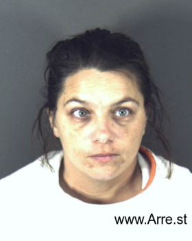 Nicole Marie Potter Mugshot