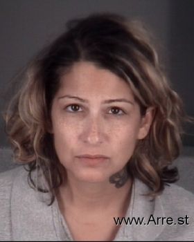 Nicole Ann Smith Mugshot