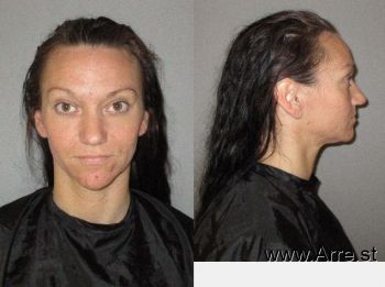 Nikki Lee Johnson Mugshot