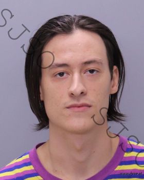 Nikolas Hisao Adams Mugshot