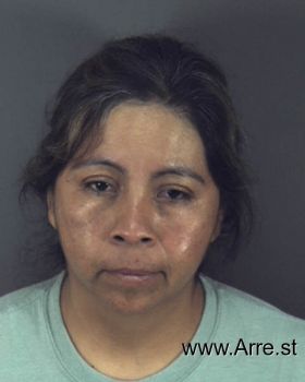 Norma  Martinez-bravo Mugshot