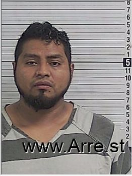 Oswaldo Enrique Martinez-martinez Mugshot