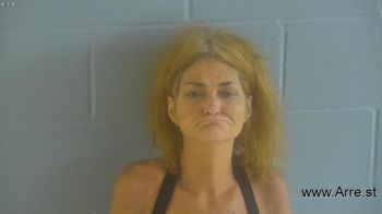 Pamela Lou Jones Mugshot