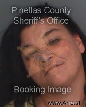 Patricia Ann Lopresti Mugshot