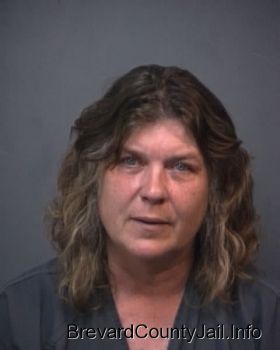 Patricia Ann Nodine Mugshot