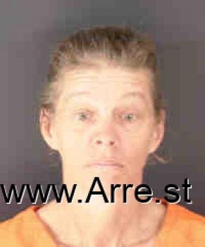 Patricia Ann Wells Mugshot