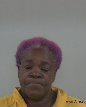 Pamela Elaine Mitchell Mugshot