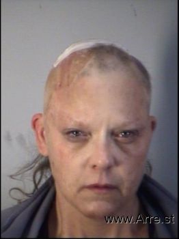 Patricia Lynn Anderson Mugshot