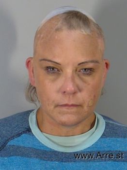 Patricia L Anderson Mugshot