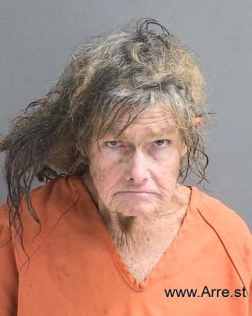 Patricia H Hudson Mugshot