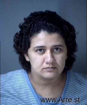 Patricia Manzan Longoria Mugshot