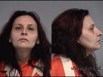 Patricia Ann Patterson-gorski Mugshot