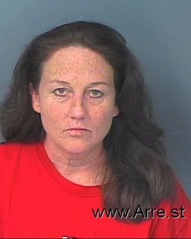 Patricia Lynn Stoots Mugshot