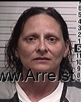 Paula Jean Cook Mugshot